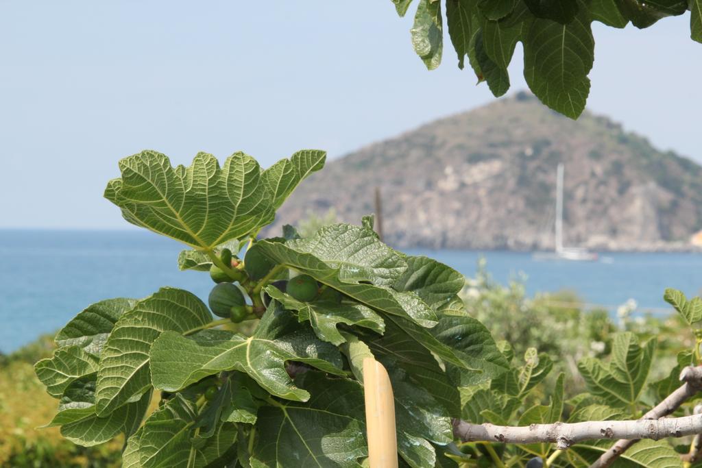 Hotel Maronti Barano dʼIschia
